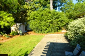 14.Patio