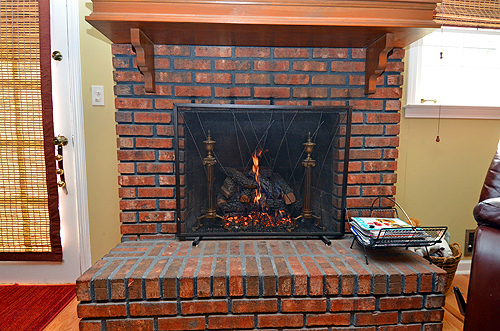 Den Fireplace