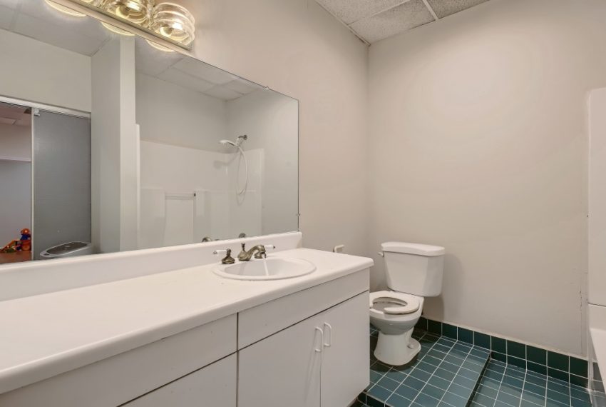 46 Lower Level Bathroom
